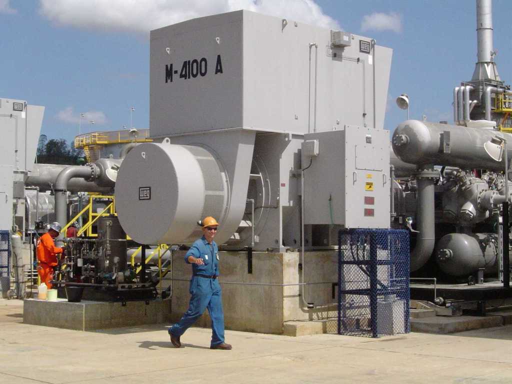 WEG establishes repair and service&nbsp;network